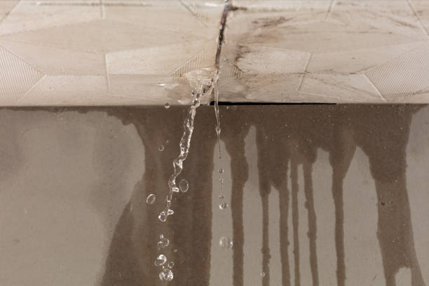 Professional Structural Drying technician working in Grayland, WA
